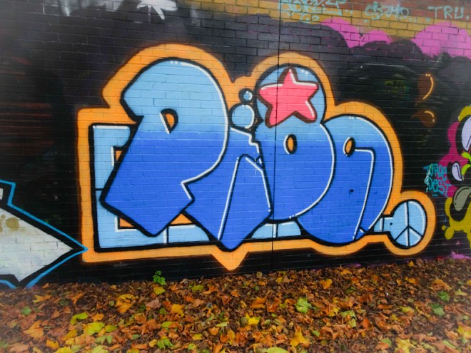 Pl8o, Sparke Evans Park, Bristol, November 2021