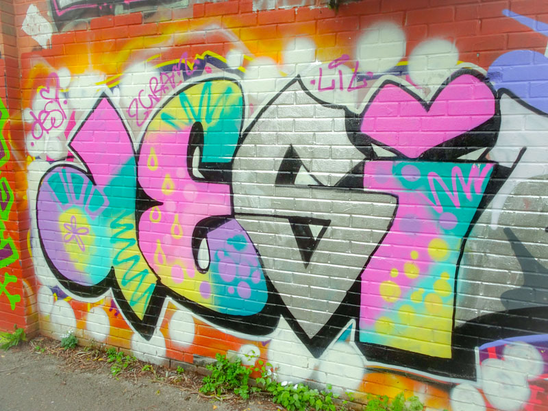 Desi, River Avon, Bristol, November 2021