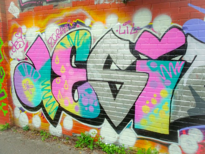 Desi, River Avon, Bristol, November 2021