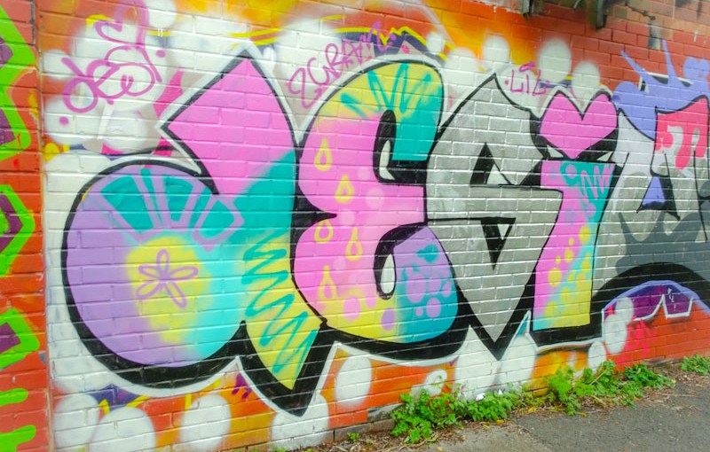 Desi, River Avon, Bristol, November 2021