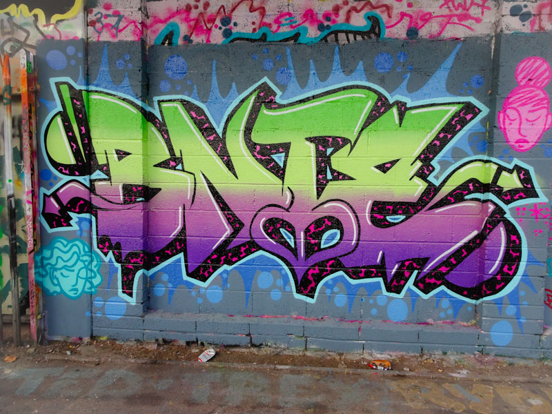 Bnie, M32 Cycl path, Bristol, November 2021