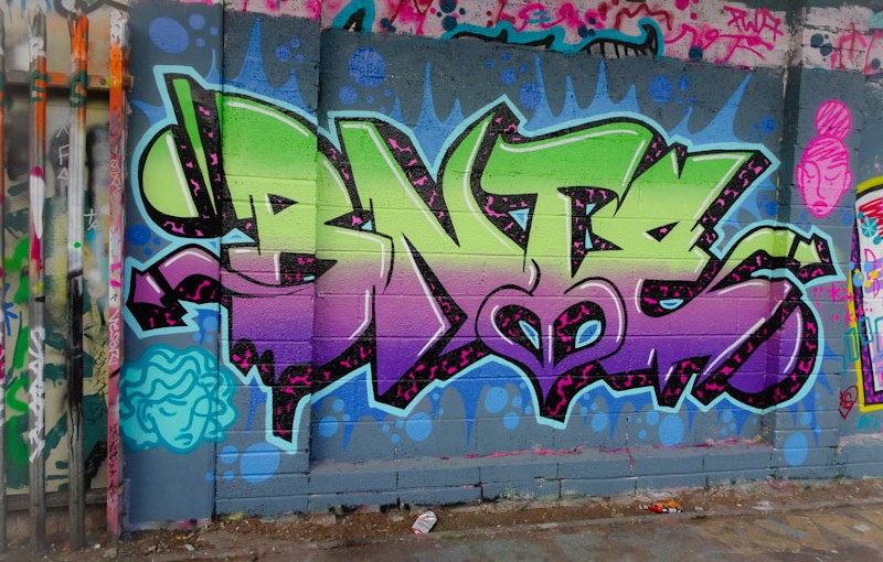 Bnie, M32 Cycl path, Bristol, November 2021