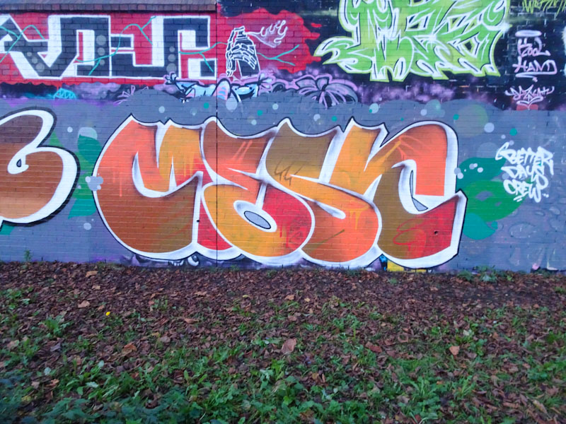 Mest, Sparke Evans Park, Bristol, November 2021