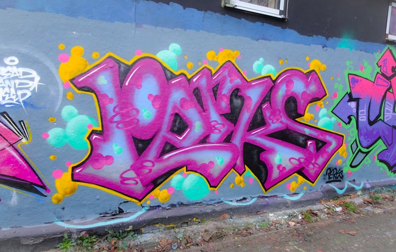 4218. Dean Lane skate park&nbsp;(458)