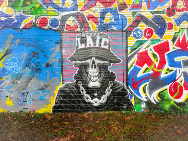 Laic217, Sparke Evans Park, Bristol, January 2022