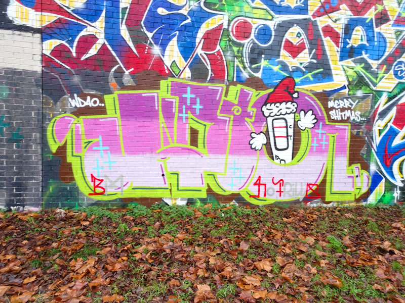 Biers, Sparke Evans Park, Bristol, December 2021