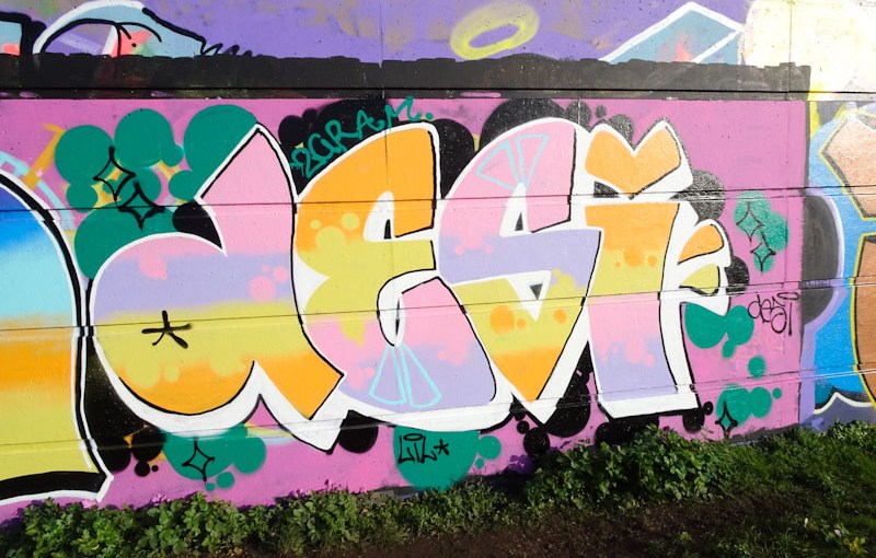 Desi, Cumberland Basin, Bristol, January 2022