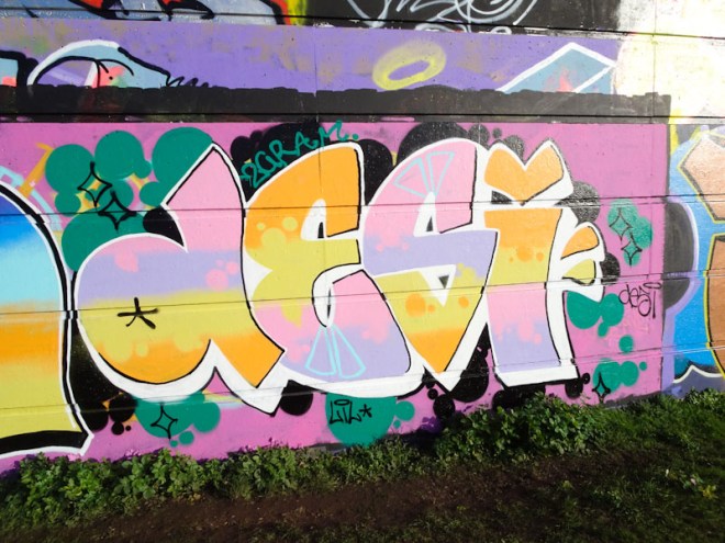 Desi, Cumberland Basin, Bristol, January 2022