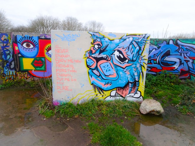 Daz Cat, Purdown, Bristol, December 2021