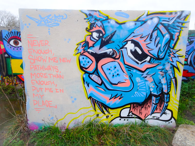 Daz Cat, Purdown, Bristol, December 2021