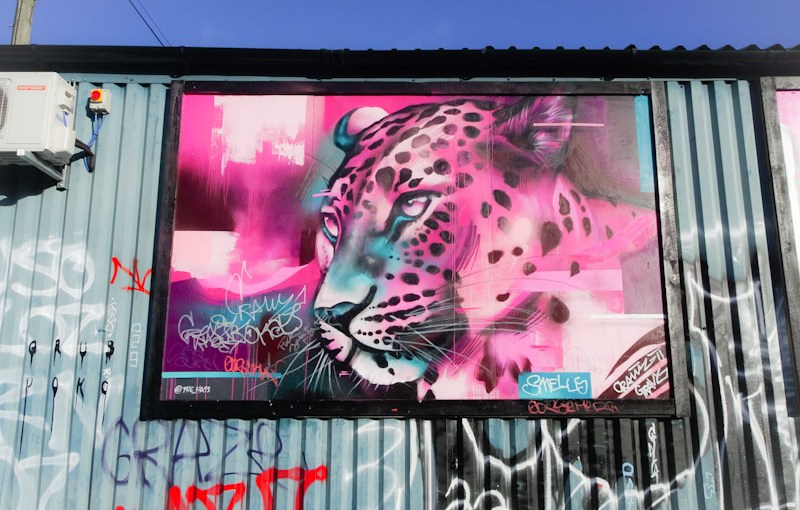 4164. Elton Street&nbsp;(3)