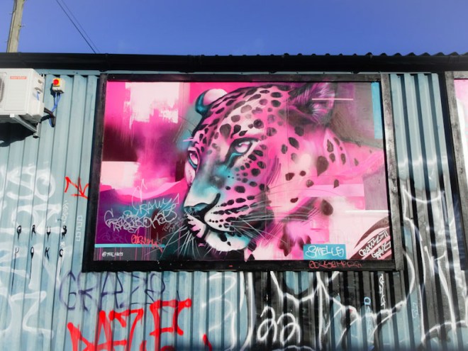The Hass, Elton Street, Bristol, December 2021