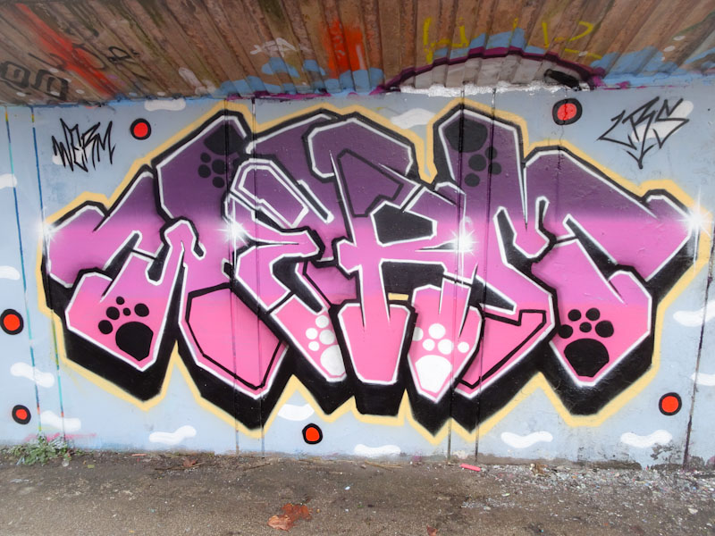 Werm, M32 Cycle path, Bristol, February 2022