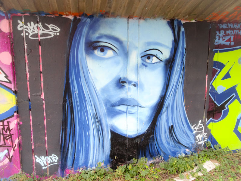 Syone MTF, M32 cycle path, Bristol, February 2022