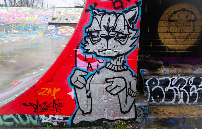 4238. Dean Lane skate park&nbsp;(461)