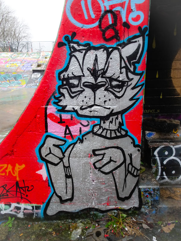 Daz Cat, Dean Lane, Bristol, January 2022