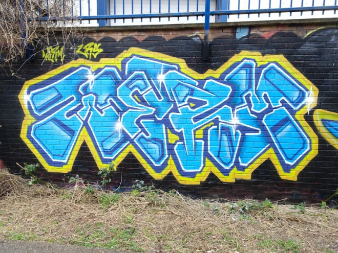 Werm, River Avon, Bristol, March 2022