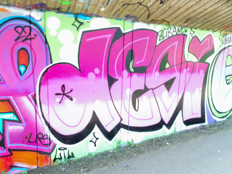 Desi, M32 Cycle path, Bristol, March 2022