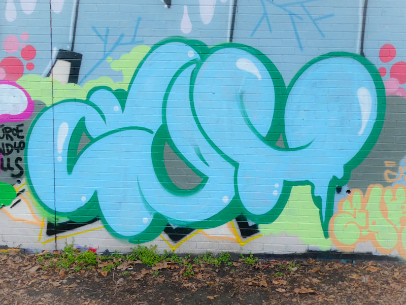 Slim Pickings (Tes), Sparke Evand Park, April 2022