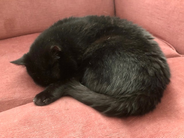 Ninja, ? – 14 May&nbsp;2022