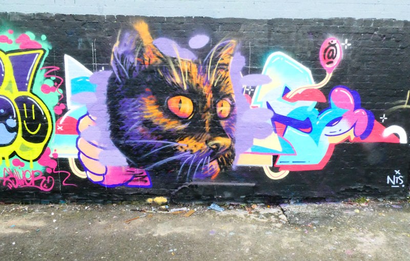 4477. Dean Lane skate park&nbsp;(496)