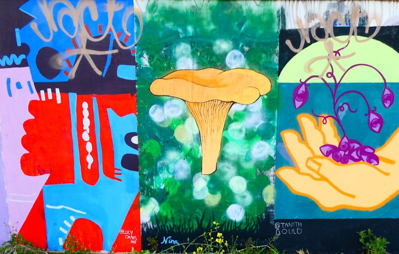 4496. Cattle Market Road&nbsp;(11)