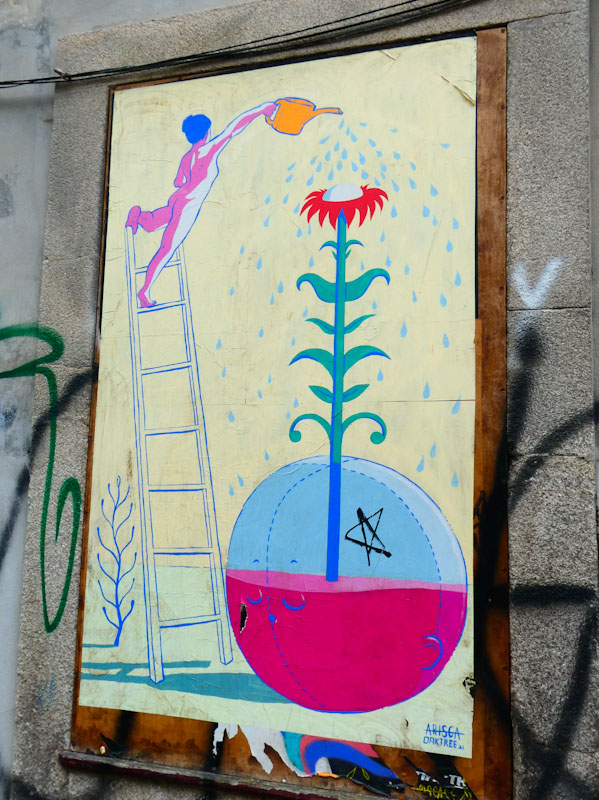 Oaktree, Porto, Portugal, June 2022