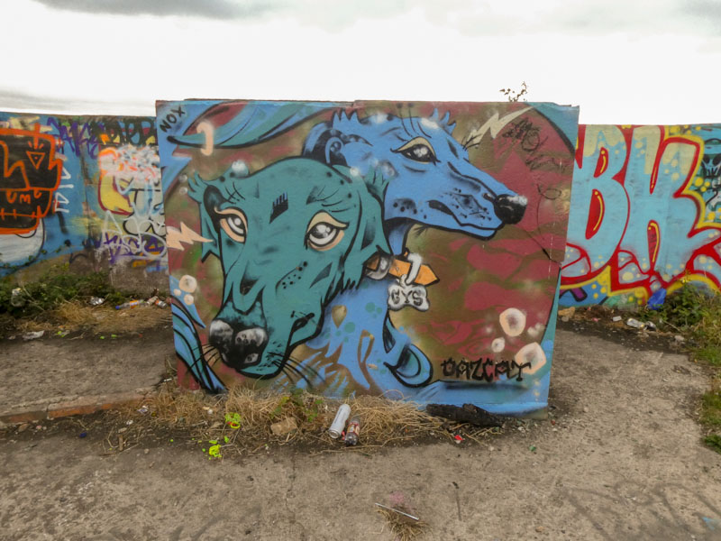 Daz Cat, Purdown, Bristol, July 2022