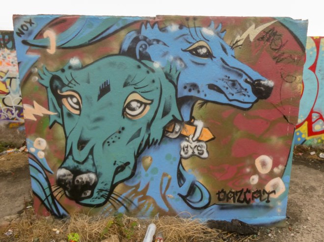 Daz Cat, Purdown, Bristol, July 2022