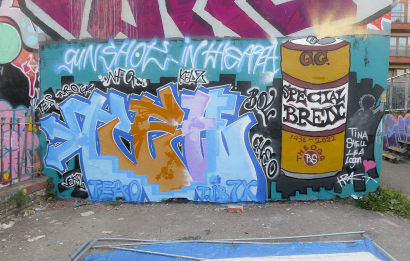 4643. Dean Lane skate park&nbsp;(519)