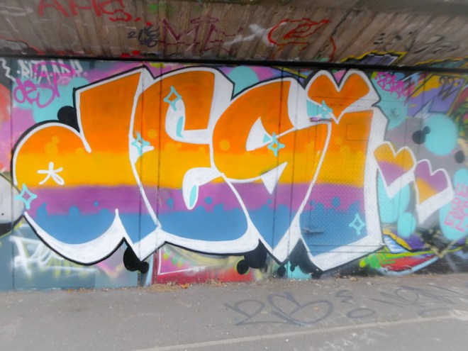 Desi, M32 Cycle path, Bristol, August 2022