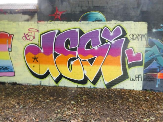 Desi, Sparke Evans Park, Bristol, August 2022