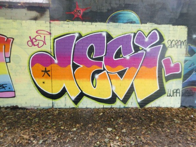 Desi, Sparke Evans Park, Bristol, August 2022