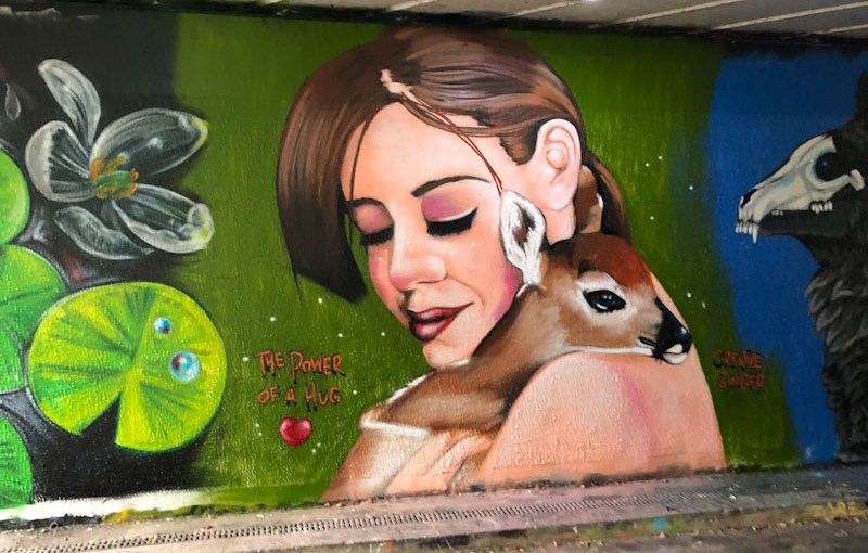 4686. Cheltenham 2022&nbsp;(9)