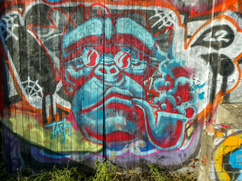 Tack Jucker, River Avon, Bristol November 2022