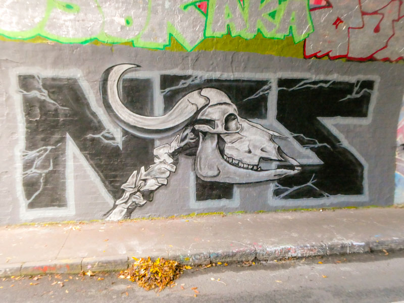 Kosc, St Werburghs, Bristol, October 2022