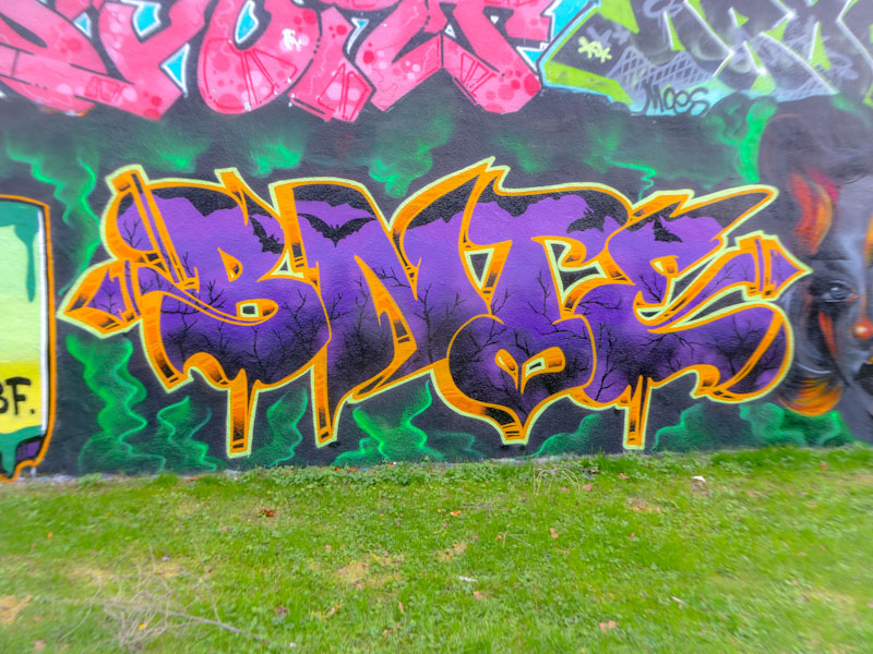 Bnie, Coach and Horses, Bristol, November 2022