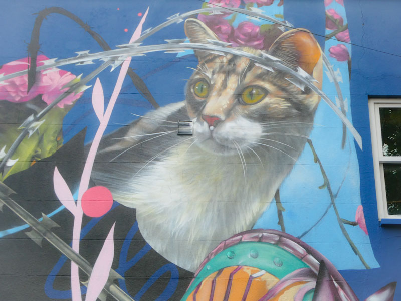 Sled One, Brook Road, Bristol, November 2022