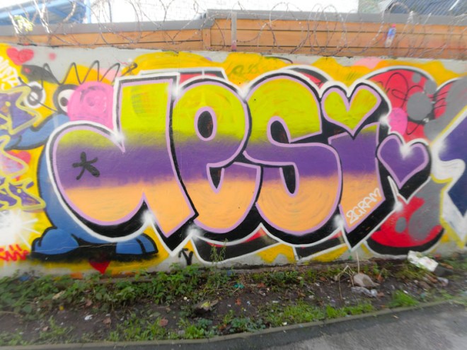 Desi, M32 Cycle path, Bristol, November 2022