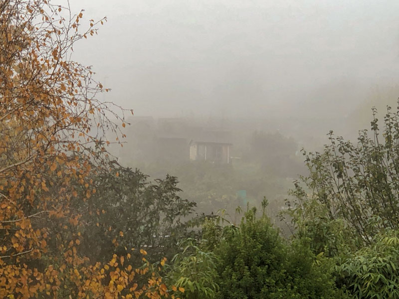 Fog, Redland, Bristol, November 2022