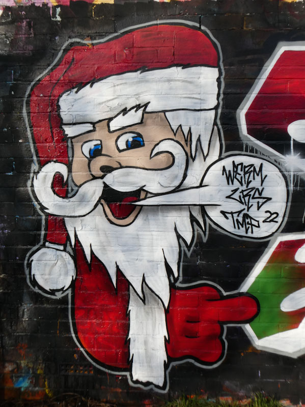 Werm, River Avon, Bristol, December 2022