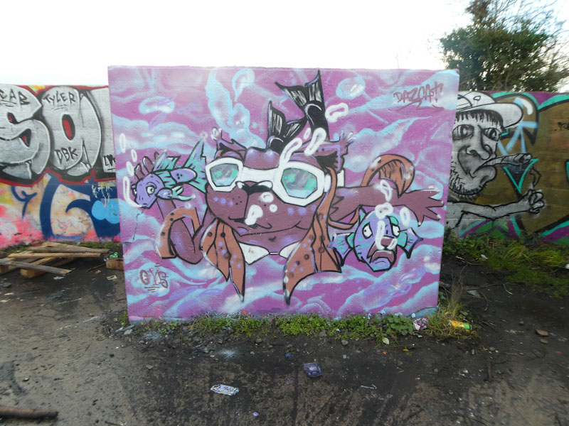 Daz Cat, Purdown, Bristol, January 2022