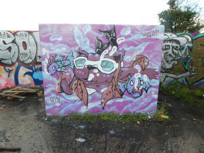 Daz Cat, Purdown, Bristol, January 2022