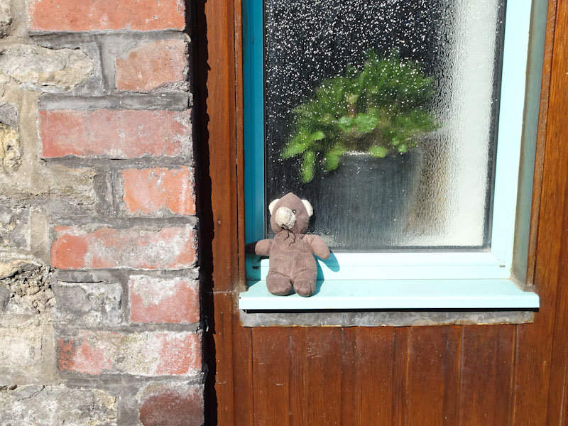 Lost toy, Bristol, March 2020