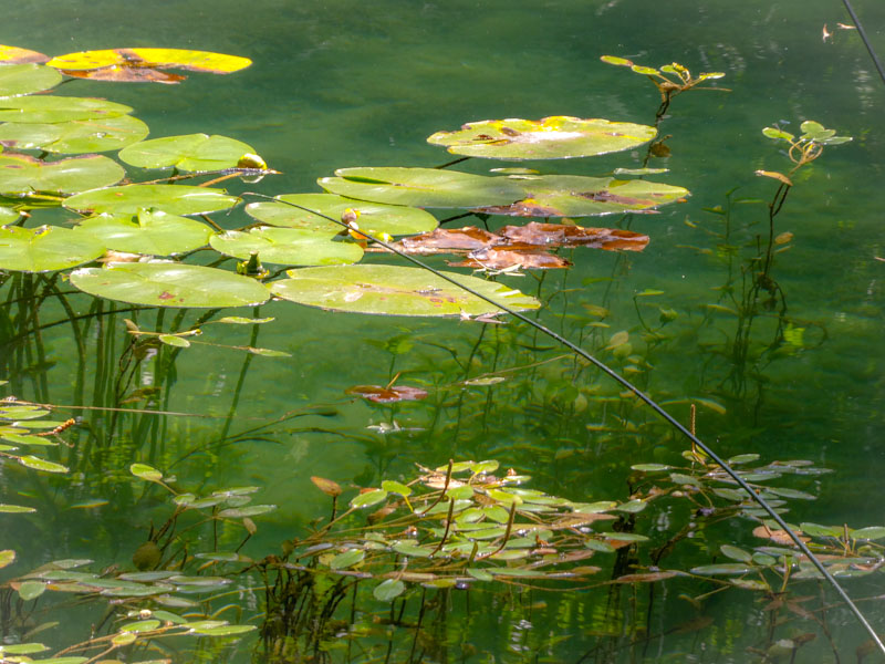 Krka National Park, Croatia, August 2022