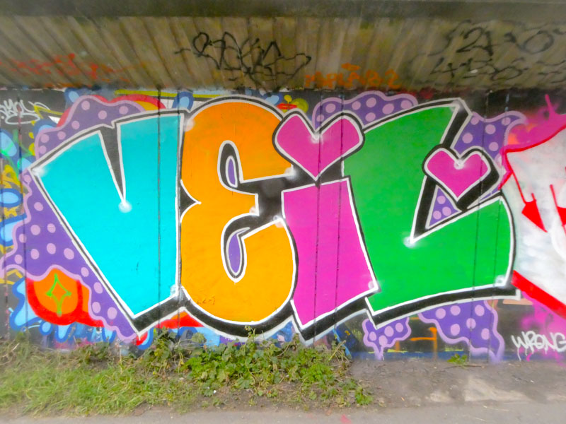 Desi, M32 Cycle path, Bristol, February 2023