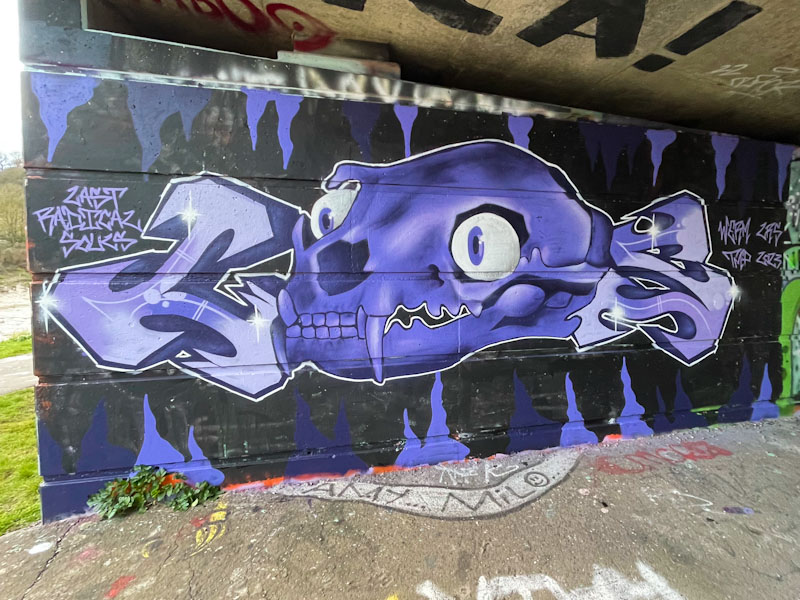 Werm, Cumberland Basin, Bristol, February 2023