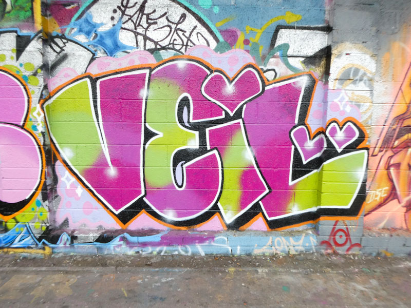 Desi, M32 Cycle path, Bristol, February 2023