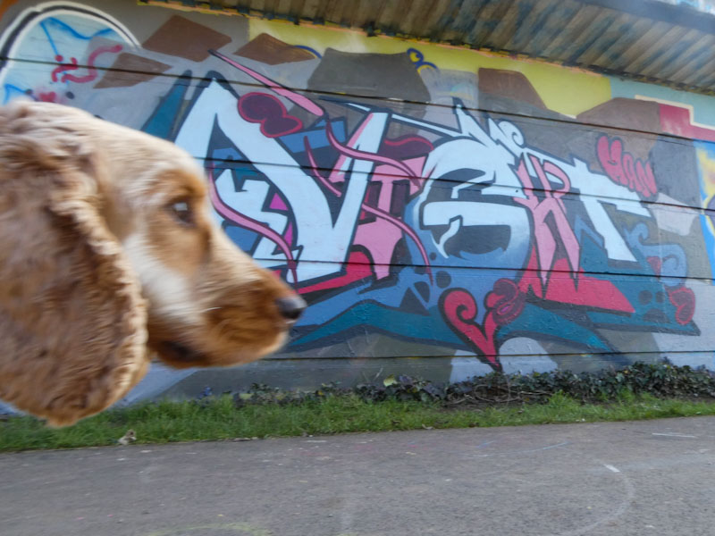 Nightwayss, Cumberland Basin, Bristol, February 2023