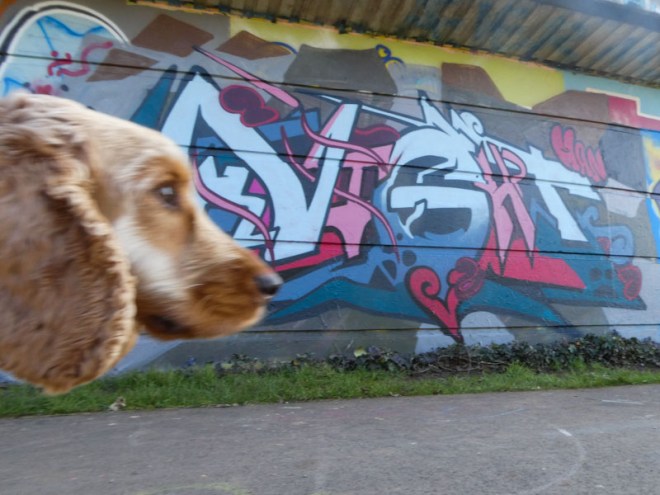 Nightwayss, Cumberland Basin, Bristol, February 2023